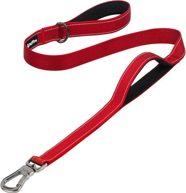 Heavy-Duty Dog Leash – 4ft