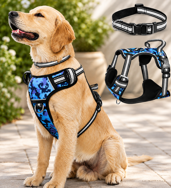 No-Pull Dog Harness & Collar Set