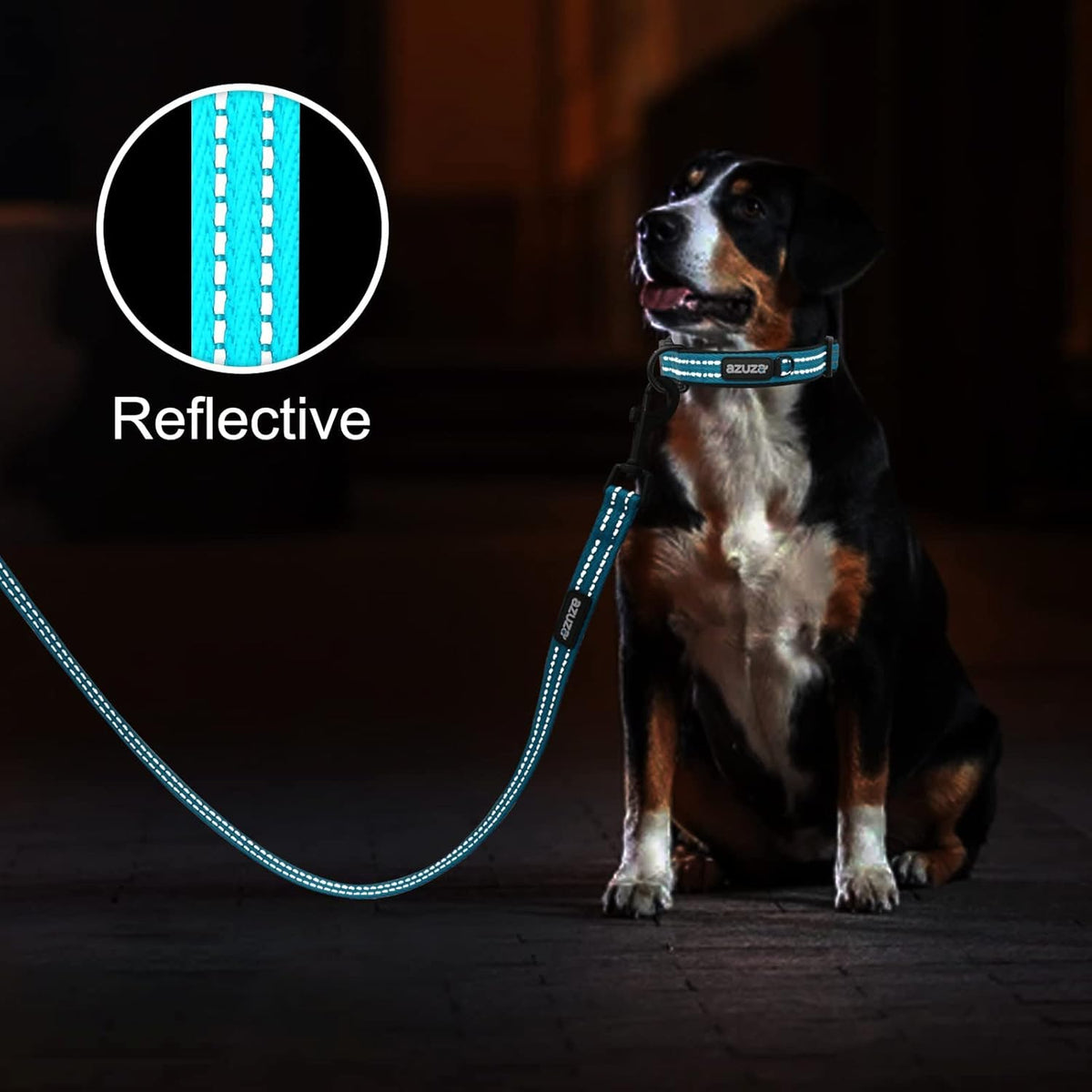 Leash & Collar Set with AirTag Holder
