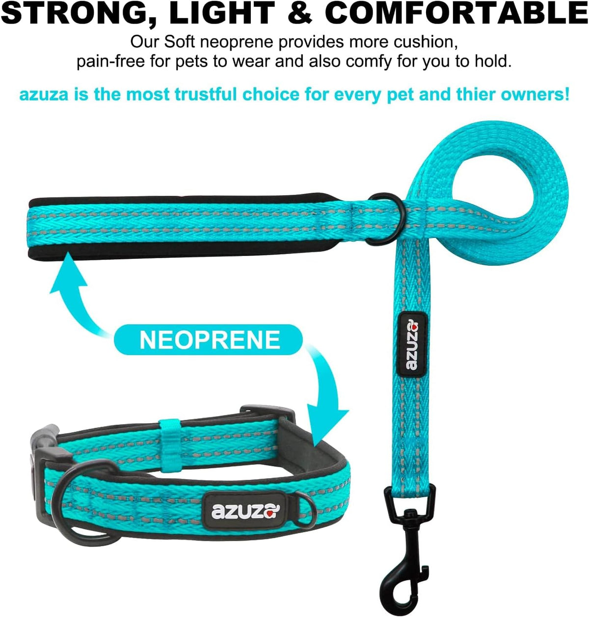 Leash & Collar Set with AirTag Holder