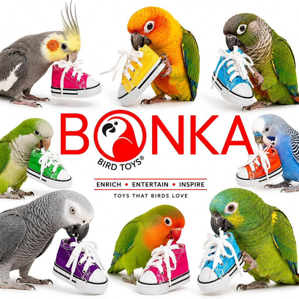 6 Mini Sneakers Colorful Cotton Shredding Parrot Parrotlet Budgie Finch Cockatoo | Fill with Treats or Shredding Material for Engaging Foraging and Interactive Foot Play