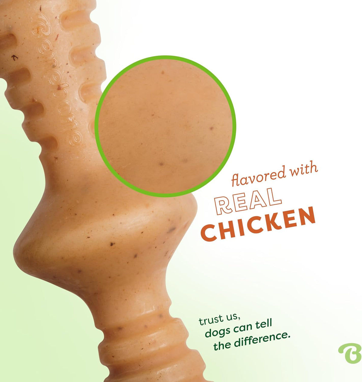 Chicken Chew Toy
