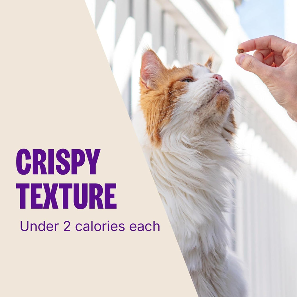 Kittles Crunchy Cat Treats, All Lifestages, Kitten to Senior, Natural, Grain Free, Tuna and Cranberry Flavor, 6 Oz Bag