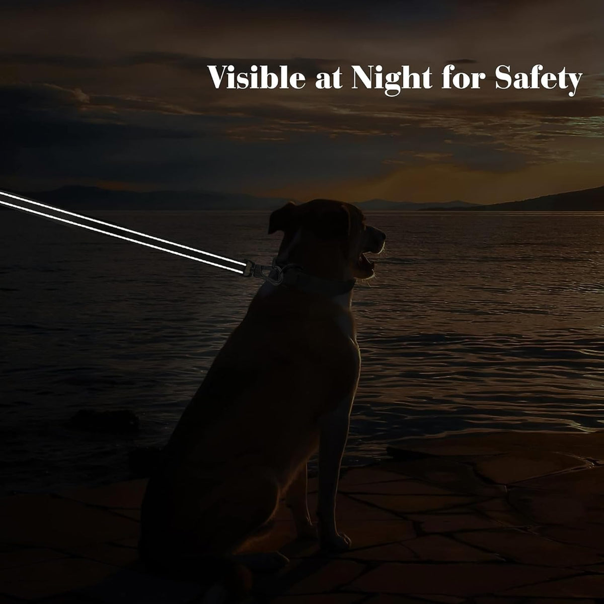Heavy-Duty Dog Leash – 4ft