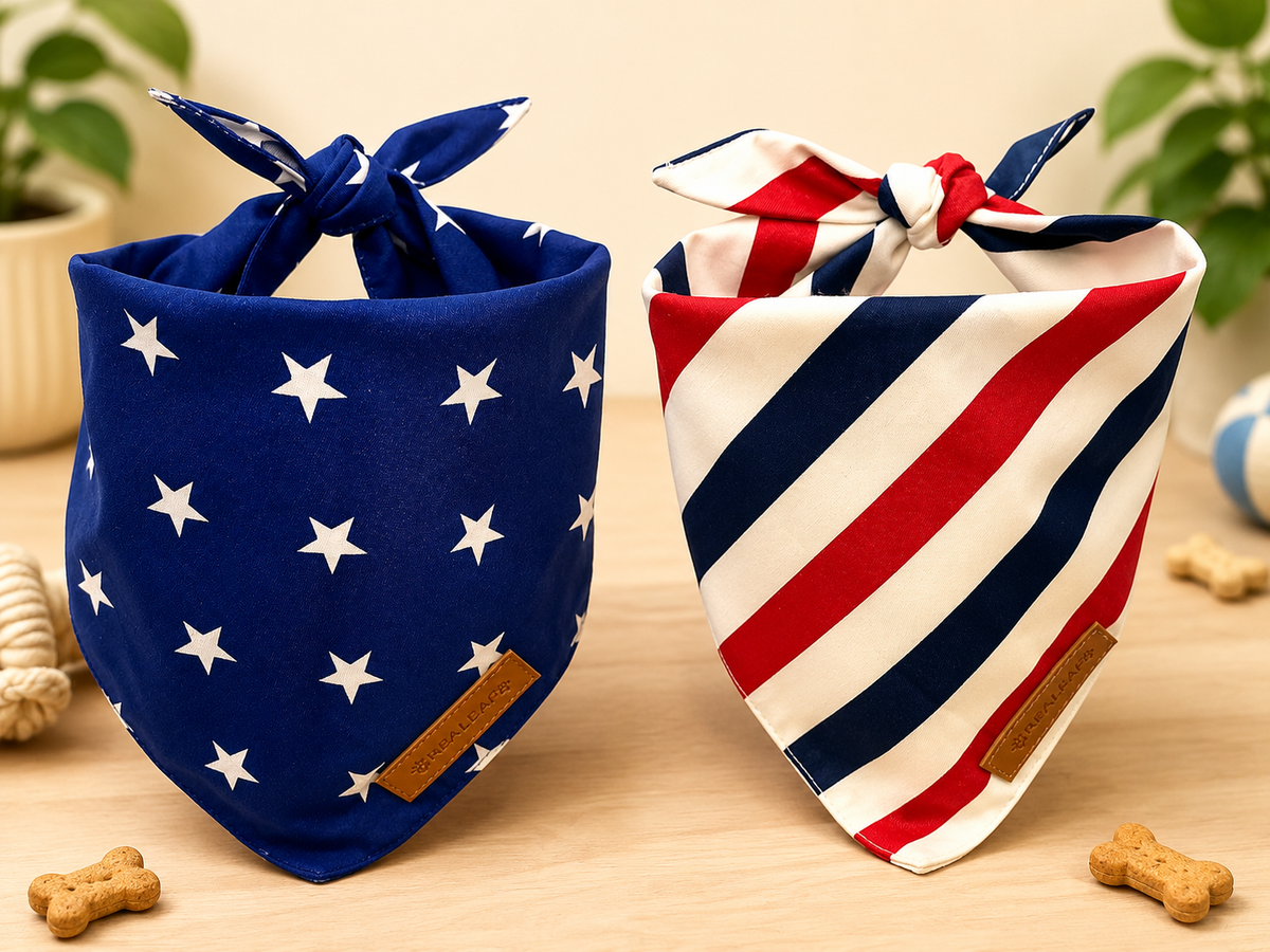 Reversible Flag Bandana – 2 Pack