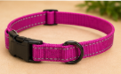 Reflective Nylon Dog Collar