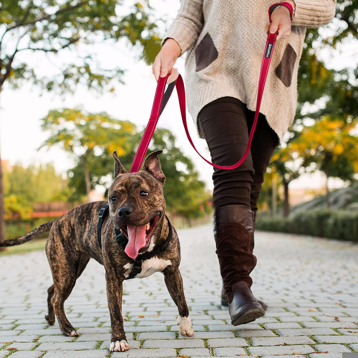Heavy-Duty Dog Leash – 4ft