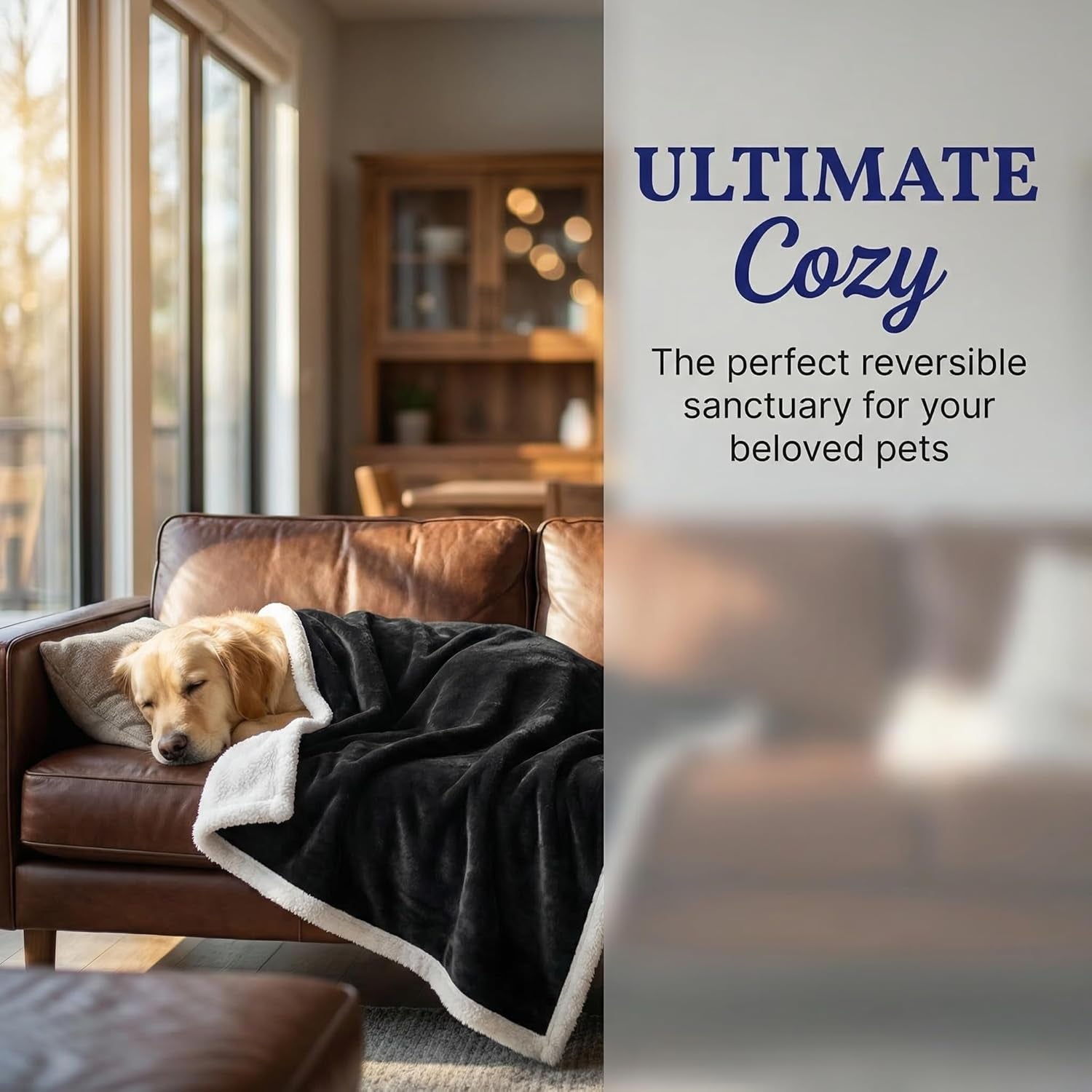 Soft Fluffy Fleece Dog Blanket for Large Dogs – Washable Pet Throw for Couch, Sofa, Dog Bed, Crate & Car Seat, 50" x 60", Black