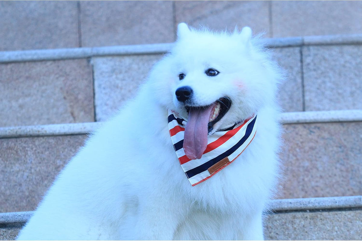 Reversible Flag Bandana – 2 Pack