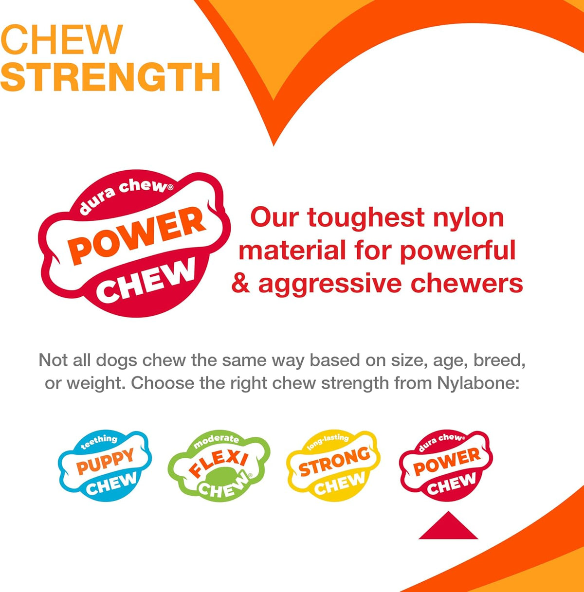 Power Chew Bone Toy – XL