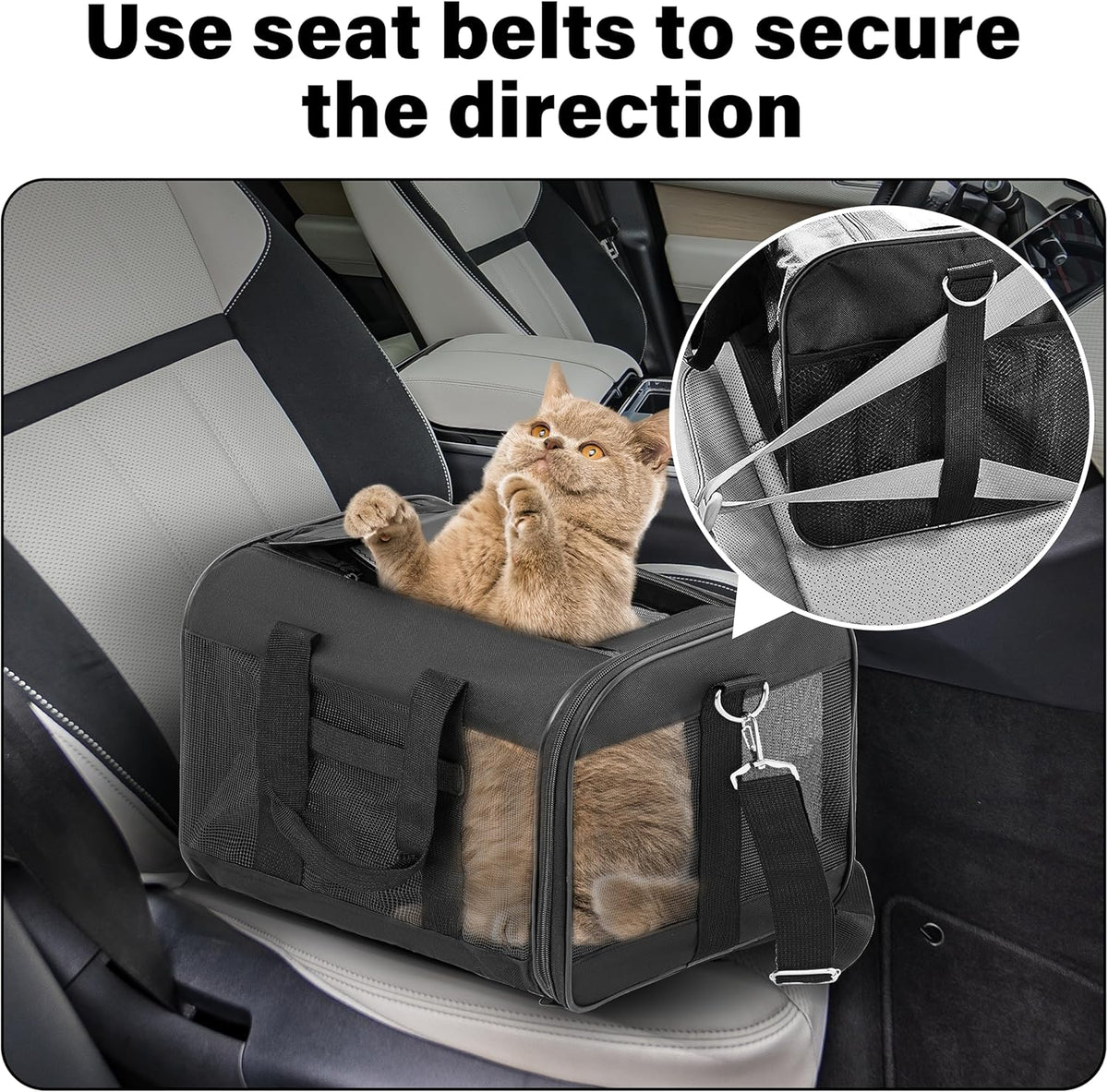 Soft-Sided Travel Carrier