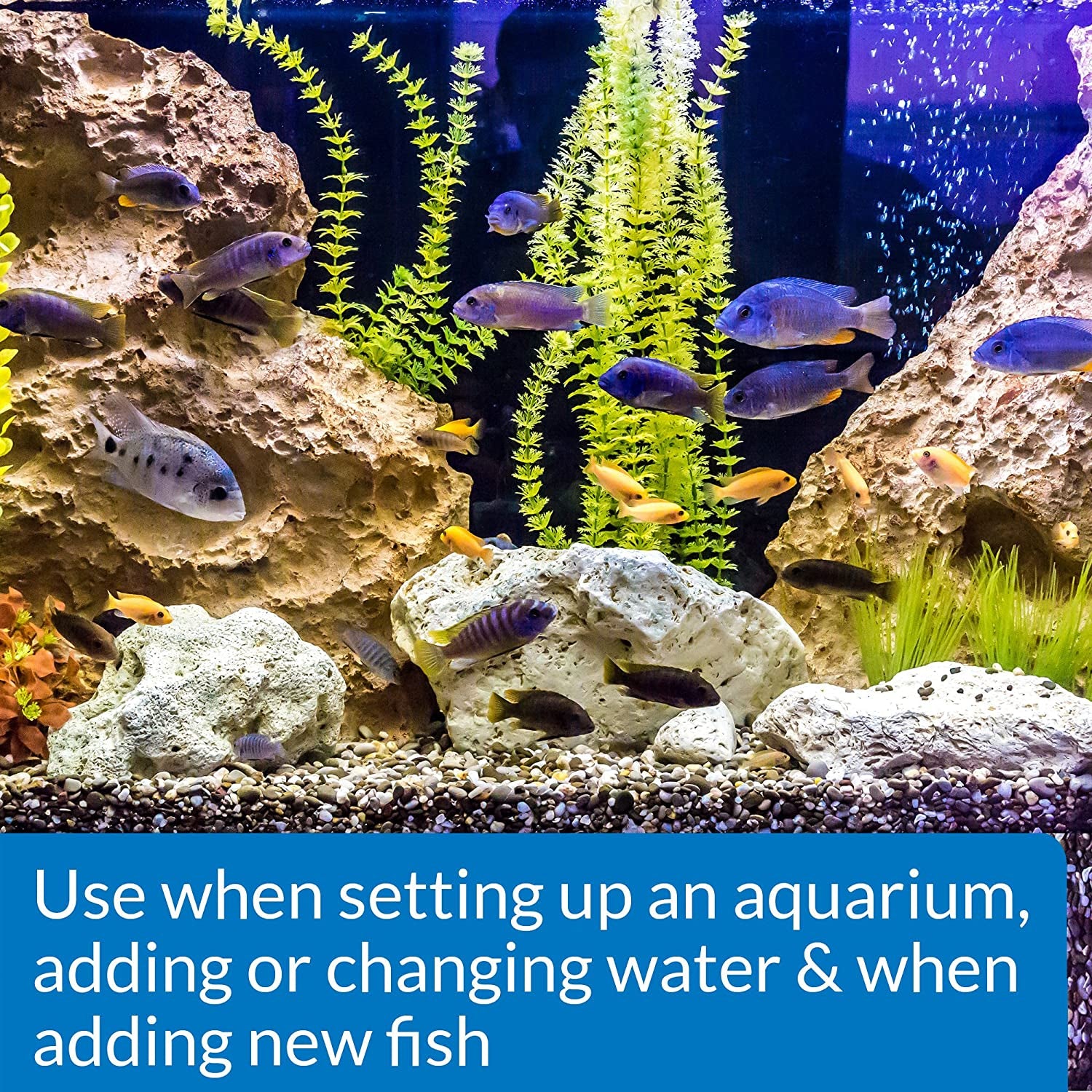 Stress Coat Aquarium Water Conditioner 16-Ounce Bottle