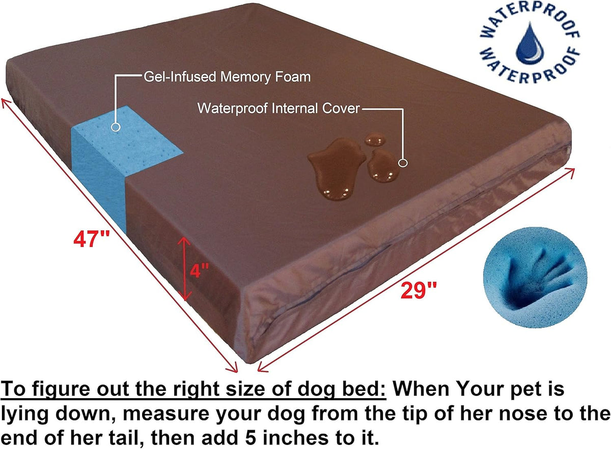 Orthopedic Memory Foam Dog Bed