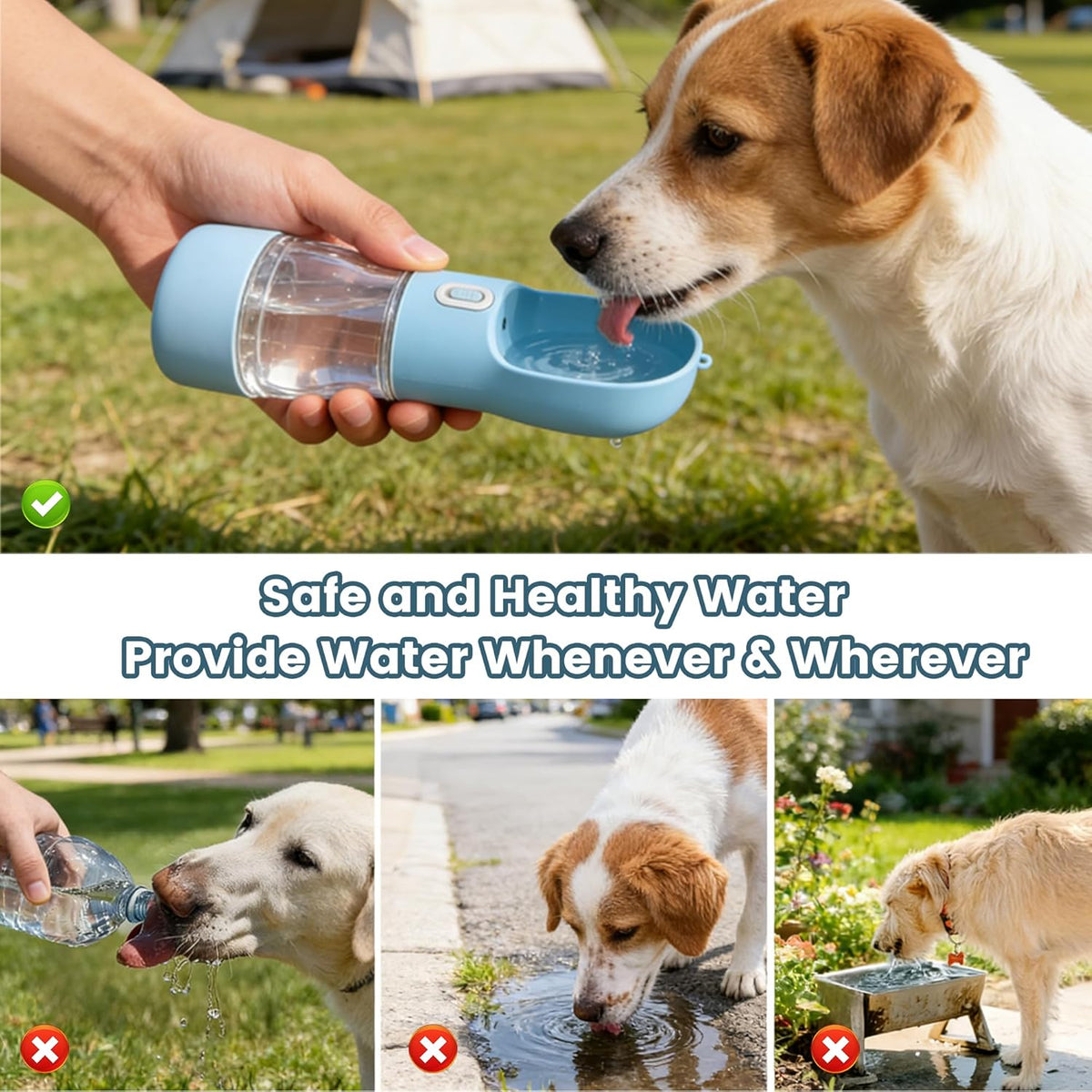 3-in-1 Travel Water Bottle