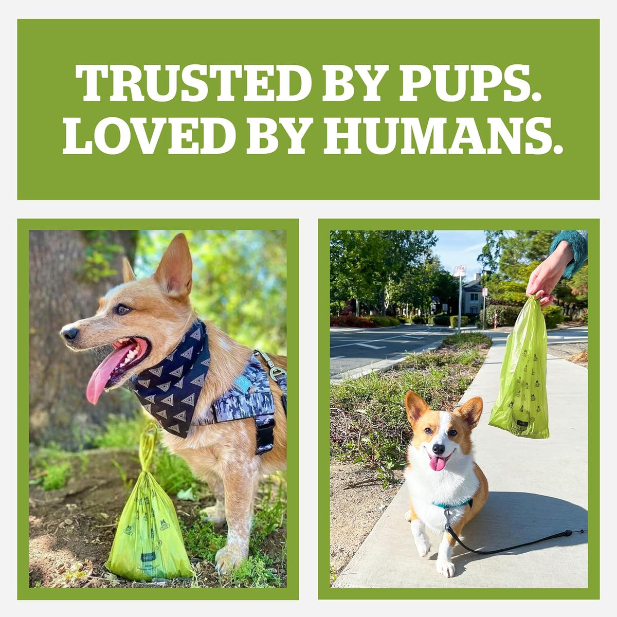Scented Dog Poop Bags