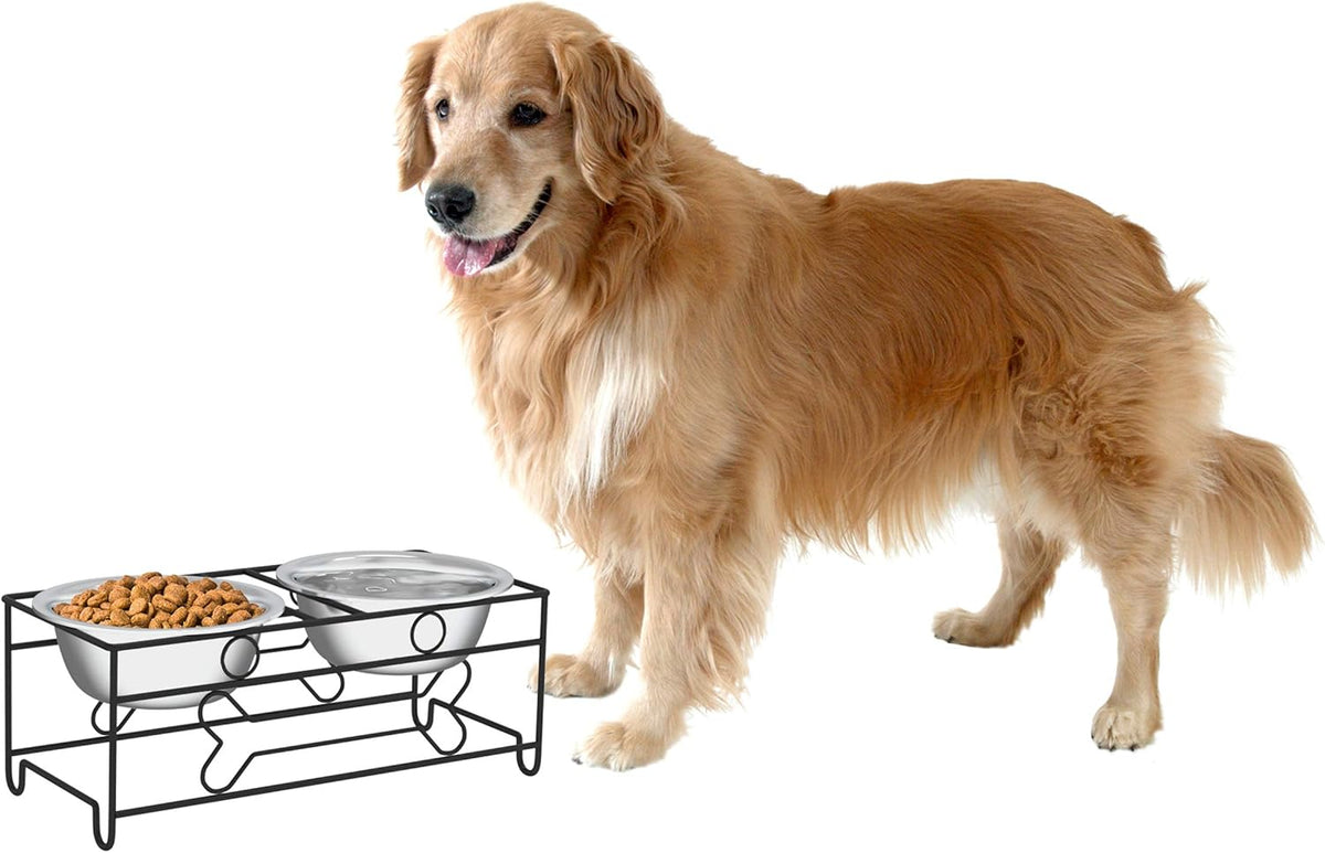 Stainless Steel Dog Bowl Set
