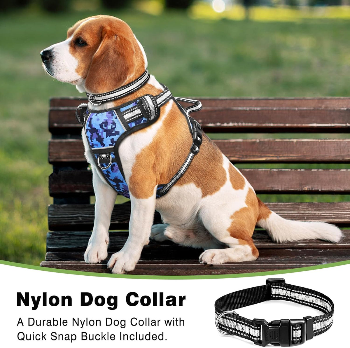 No-Pull Dog Harness & Collar Set