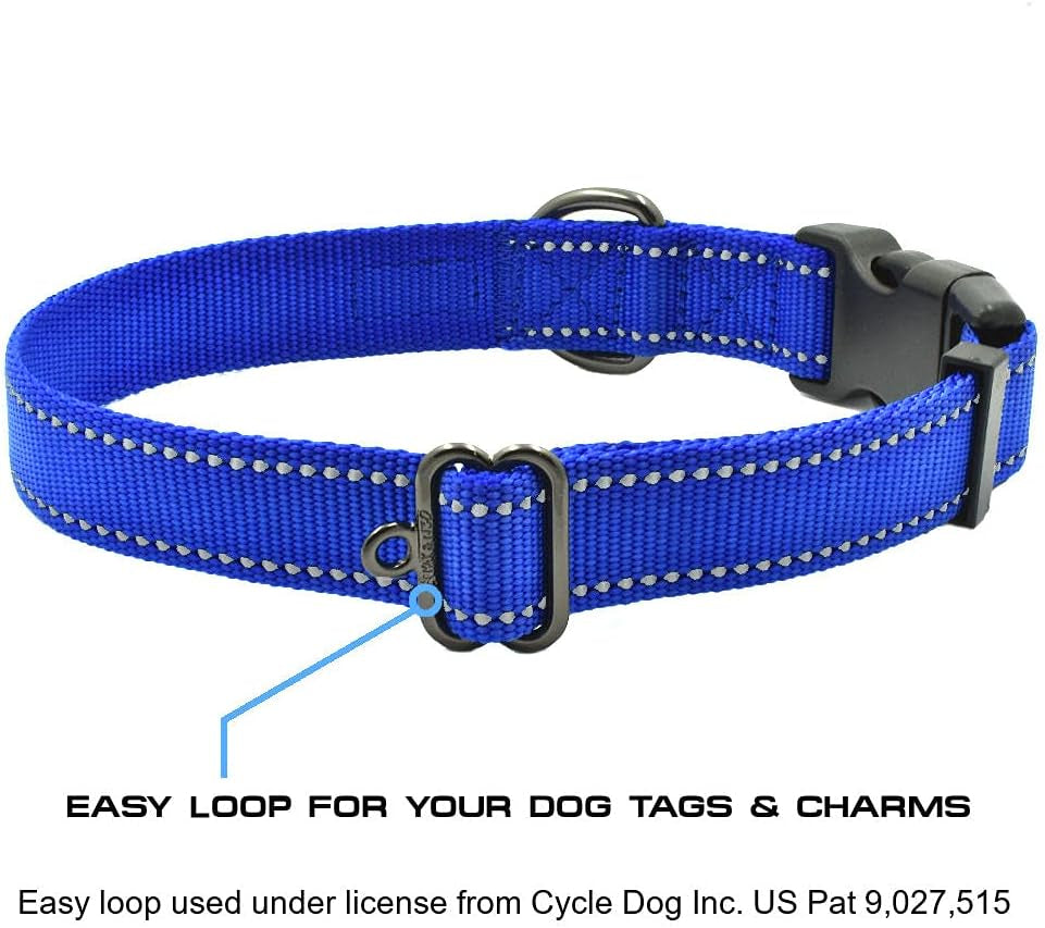 Reflective Nylon Dog Collar