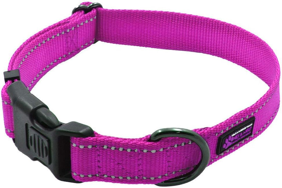 Reflective Nylon Dog Collar