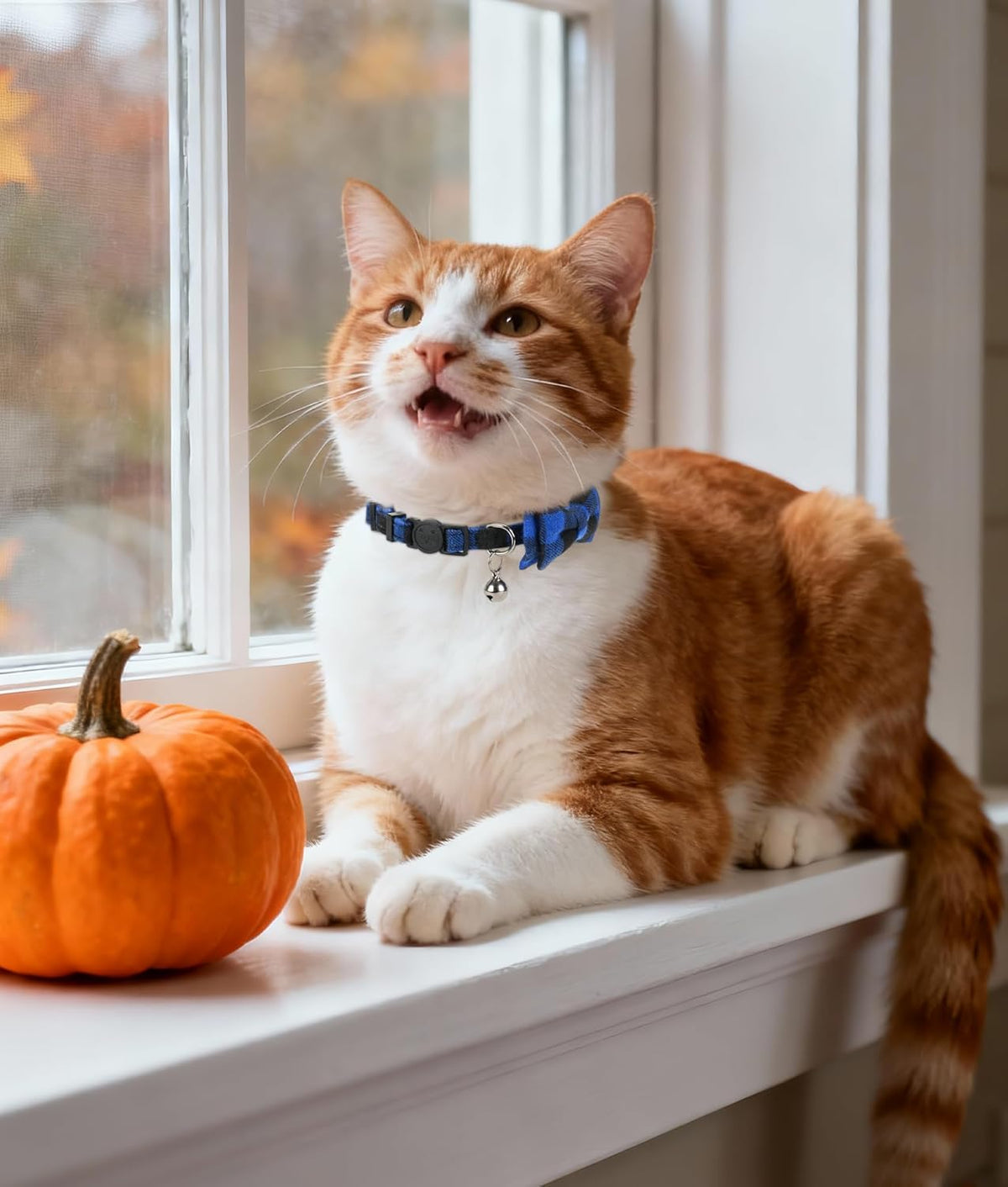 Bow Tie Breakaway Cat Collar