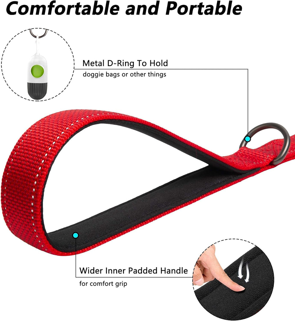 4 FT Heavy-Duty Dog Leash – Dual Padded Handles, Auto-Lock Hook & Reflective Nylon Walking Lead for Large, Medium & Small Dogs