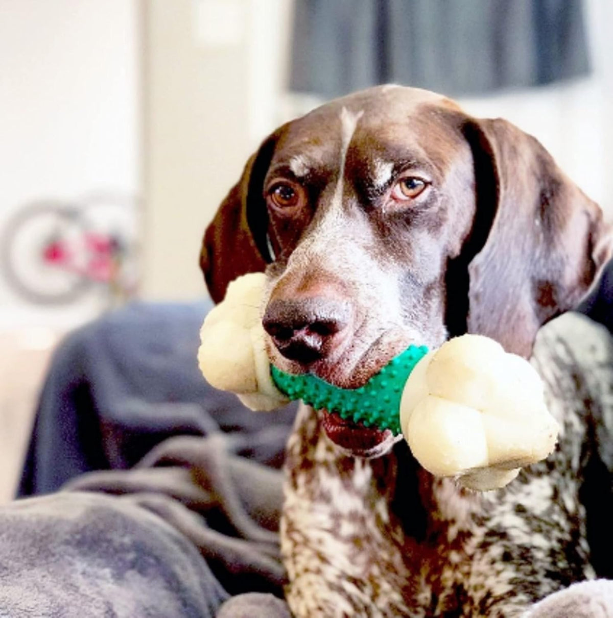 Power Chew Bone Toy – XL