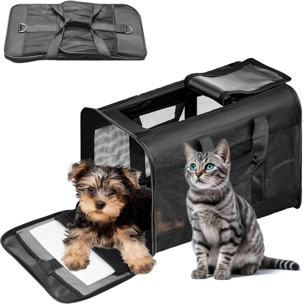 Soft-Sided Travel Carrier