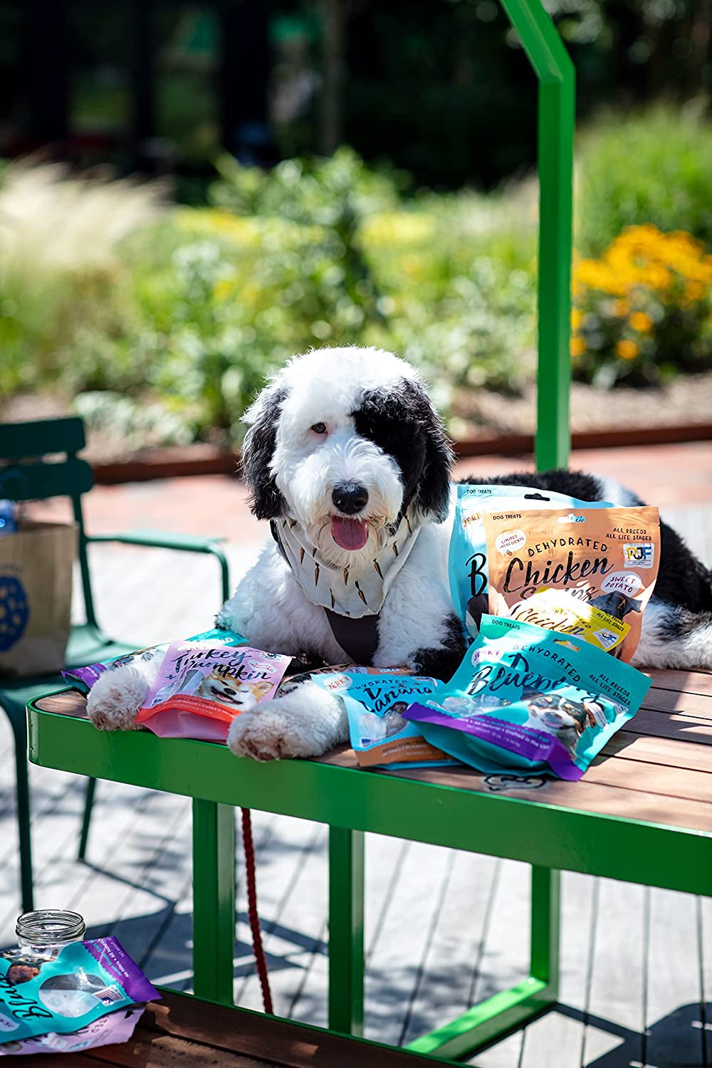 Beef & Banana Jerky Treats