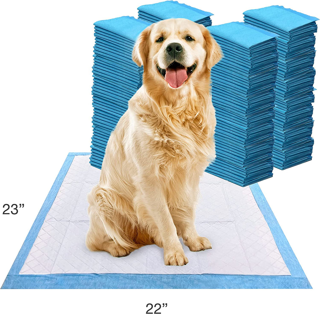 Wee-Wee Superior Performance Dog Pee Pads, 200 Count | Quilted Leak-Proof Puppy Pads, Dog Housebreaking & Potty Training, 24-Hour Floor Protection, Pet Supplies, 22" X 23"