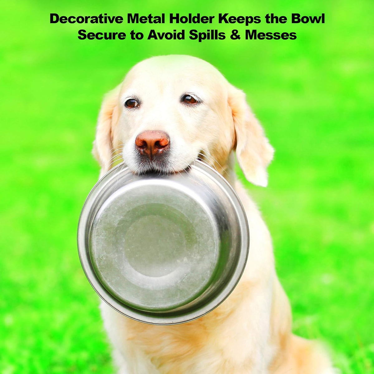 Stainless Steel Dog Bowl Set