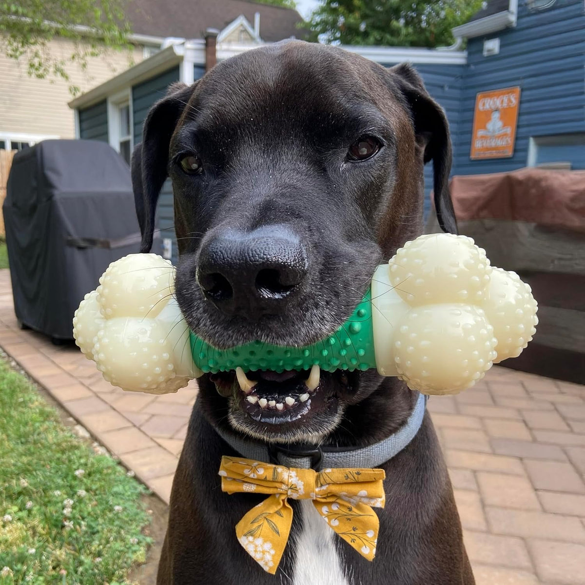 Power Chew Bone Toy – XL