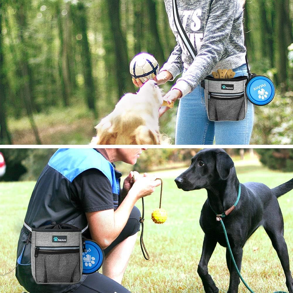 Treat Training Pouch
