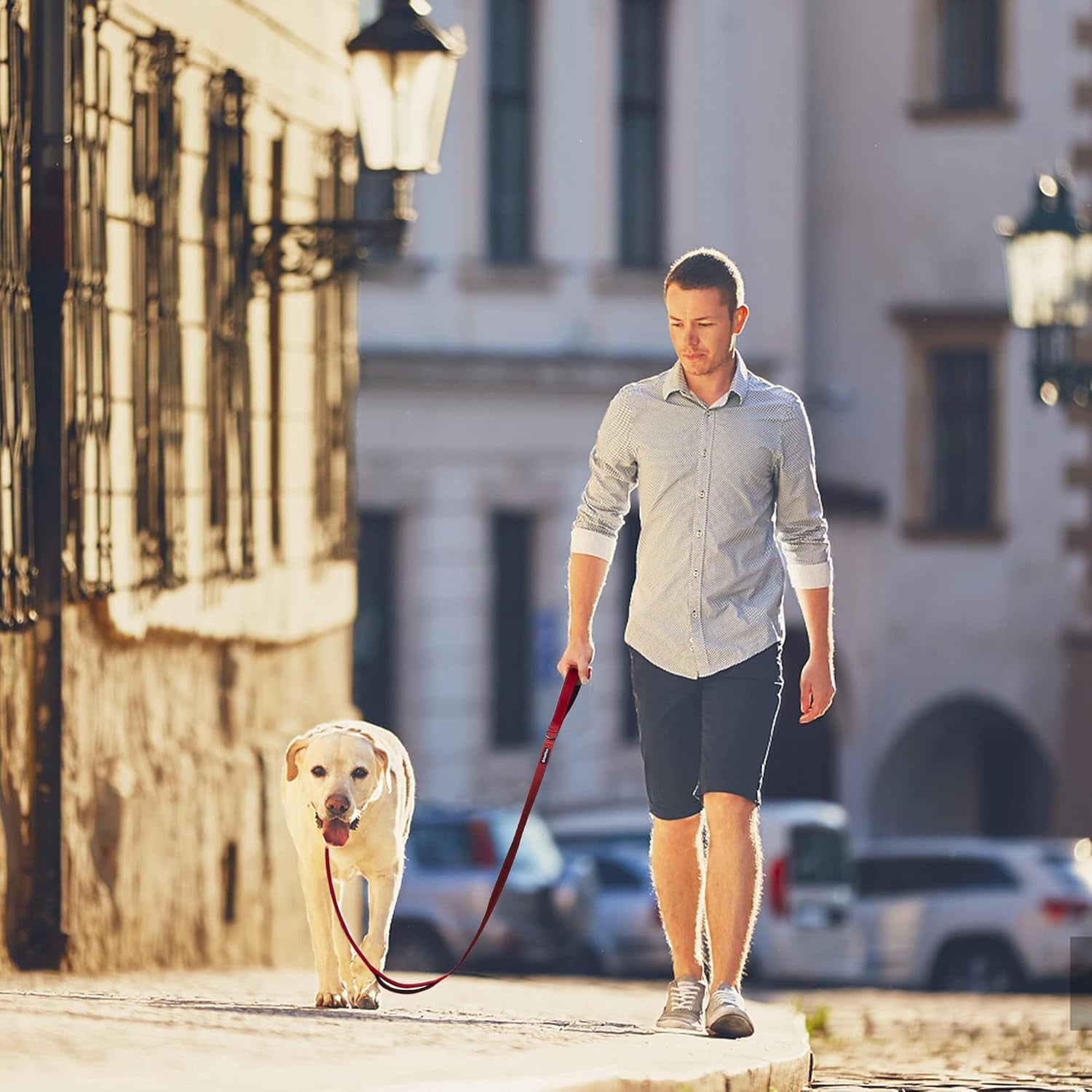 4 FT Heavy-Duty Dog Leash – Dual Padded Handles, Auto-Lock Hook & Reflective Nylon Walking Lead for Large, Medium & Small Dogs