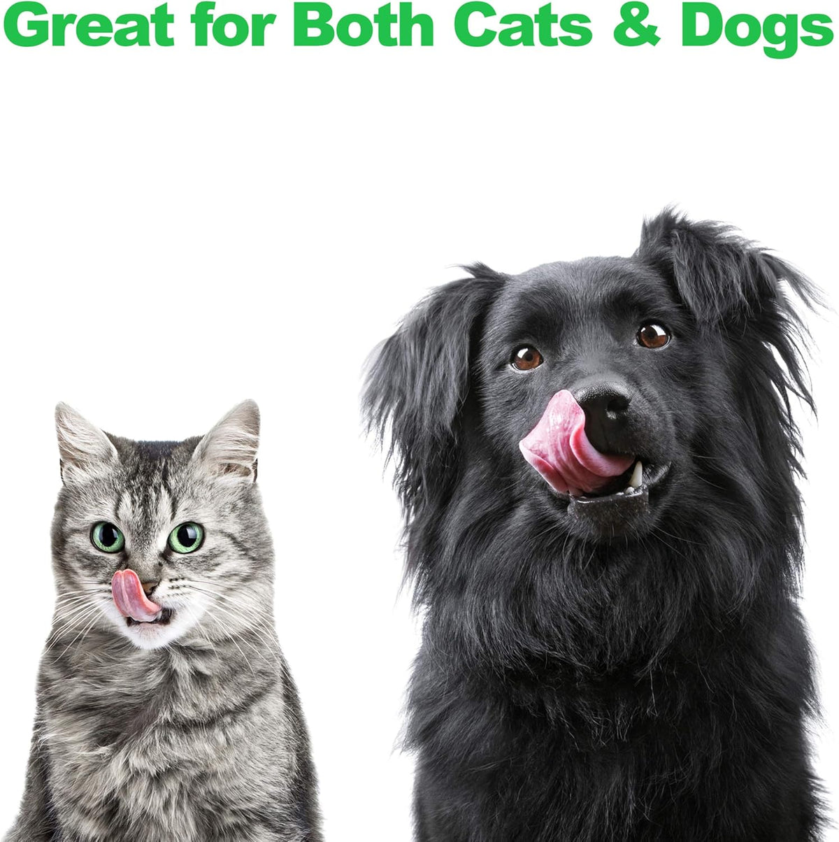 Stainless Steel Dog Bowl Set